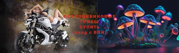 ECSTASY Абаза