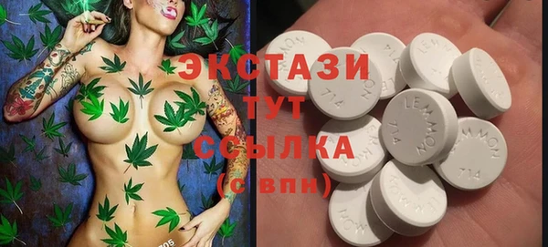ECSTASY Абаза